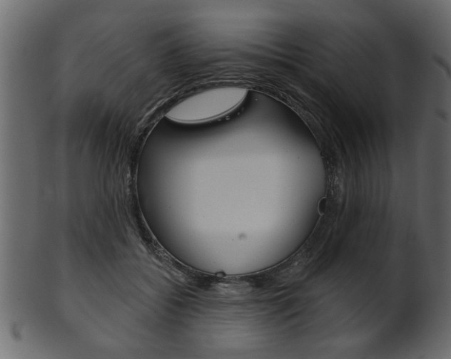 X0000102020556200807180945