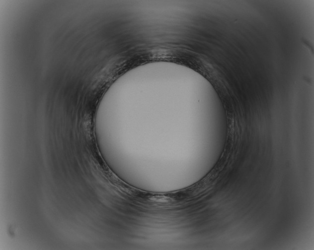 X0000102020557200807180945