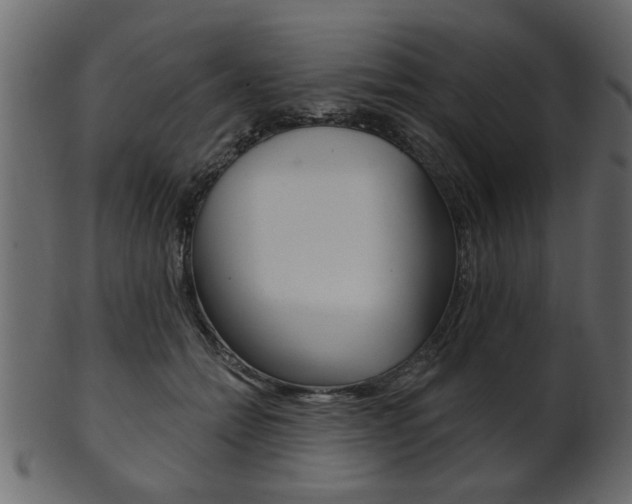 X0000102020558200807180945