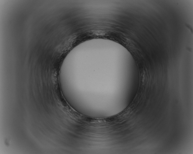 X0000102020559200807180945