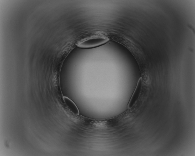 X0000102020560200807180945