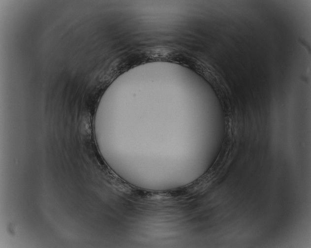 X0000102020561200807180945