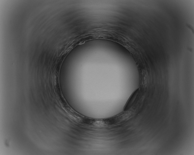 X0000102020562200807180945