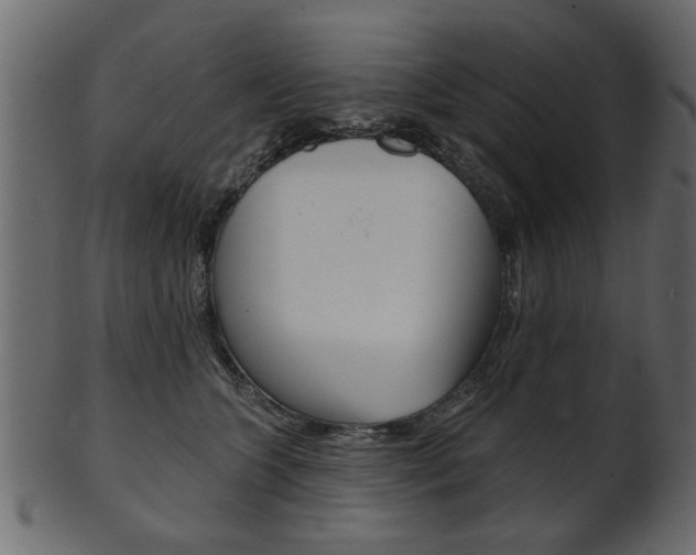 X0000102020563200807180945