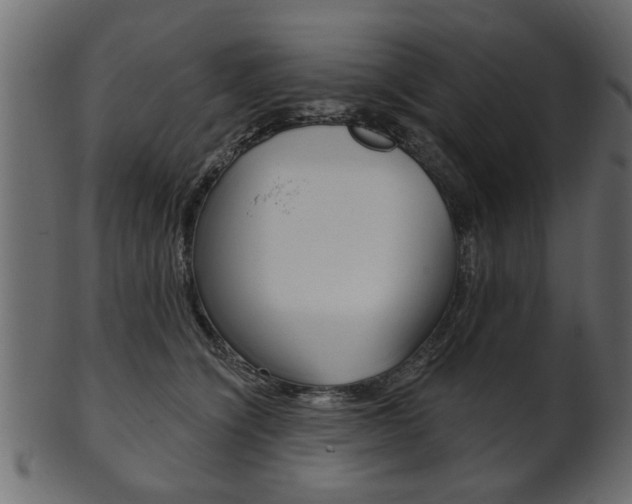 X0000102020564200807180946