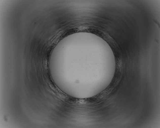 X0000102020565200807180946