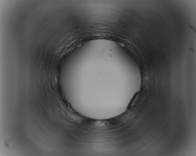 X0000102020566200807180946