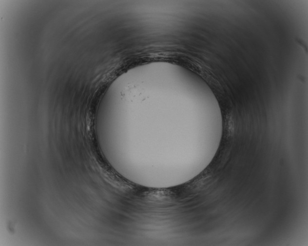 X0000102020567200807180946