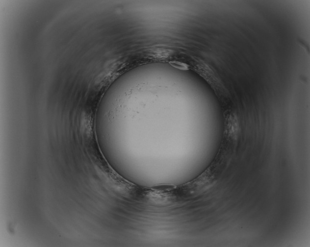 X0000102020568200807180946