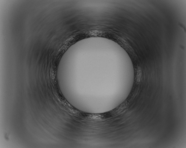 X0000102020569200807180946