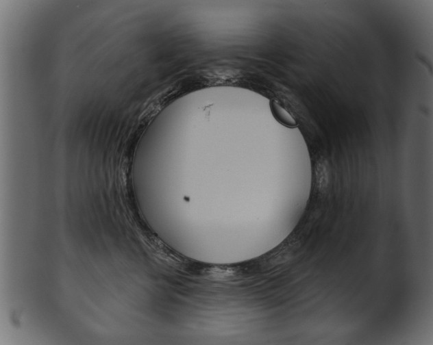 X0000102020570200807180946