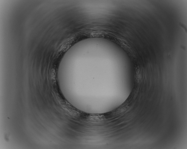 X0000102020571200807180946