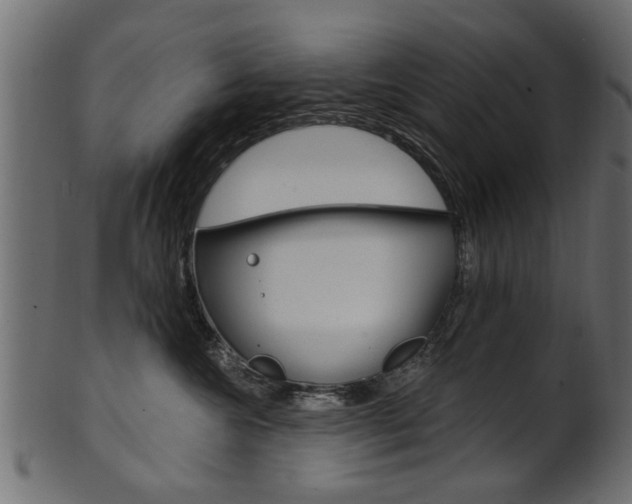 X0000102020572200807180946