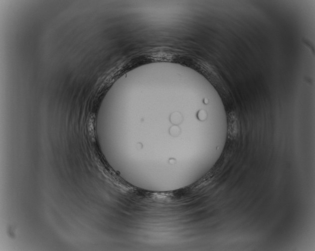 X0000102020573200807180946