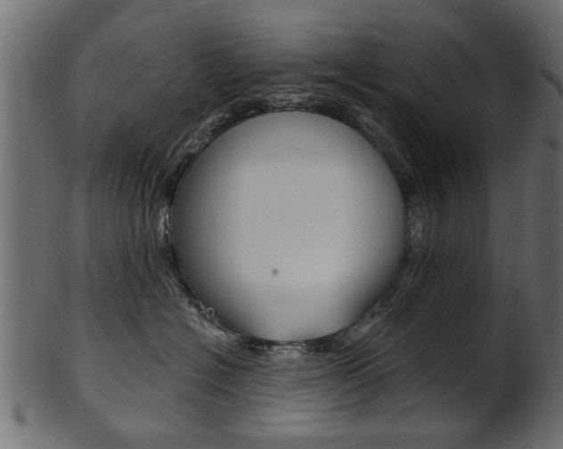 X0000102020574200807180946