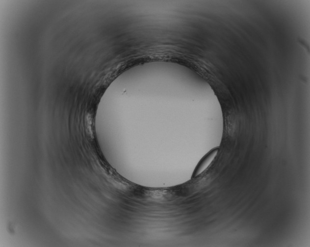 X0000102020575200807180946