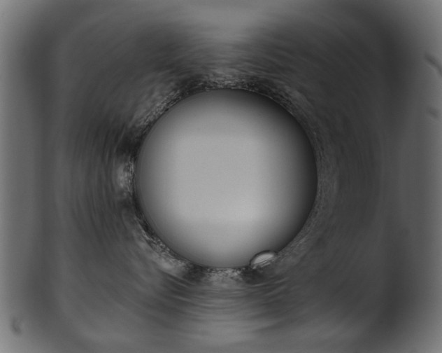 X0000102020576200807180946