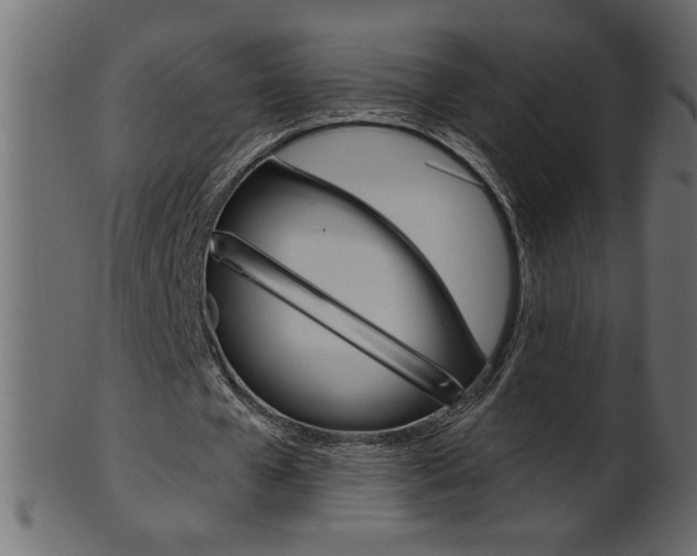 X0000102020577200807180945