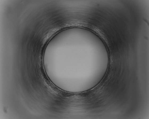X0000102020578200807180945