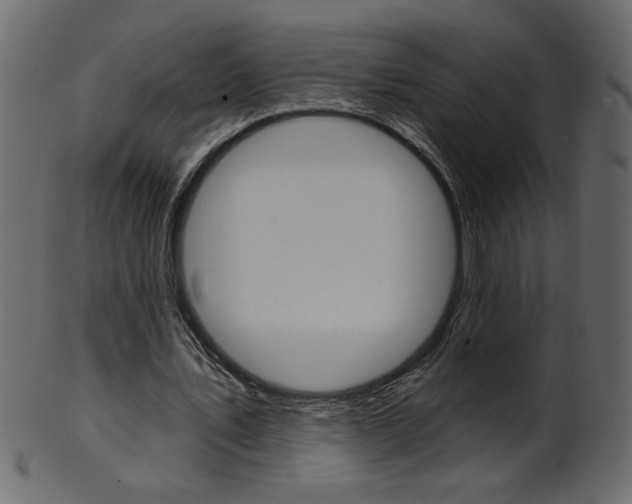 X0000102020579200807180945