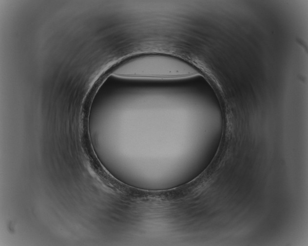 X0000102020580200807180945