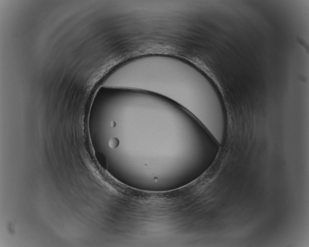 X0000102020581200807180945