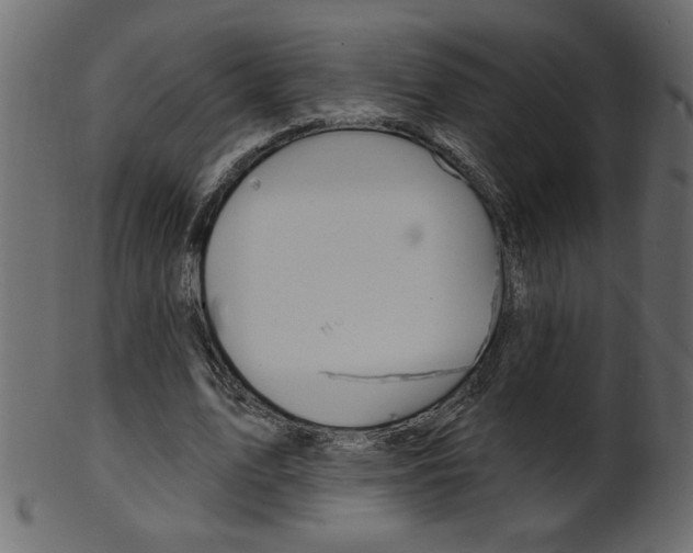X0000102020583200807180945
