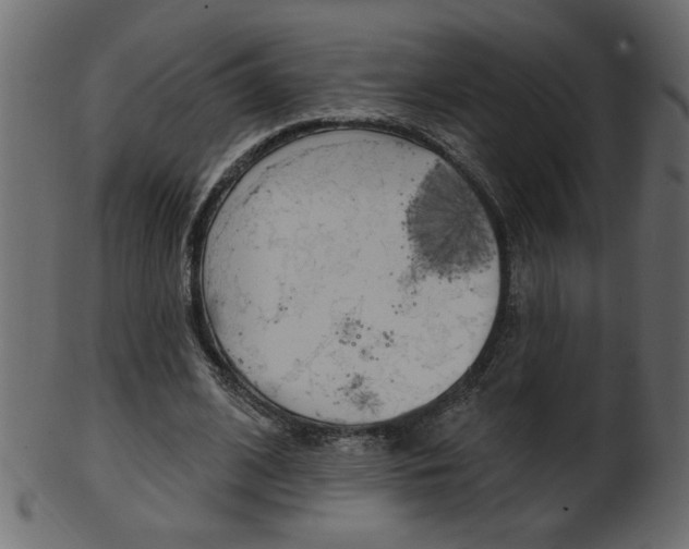 X0000102020584200807180945