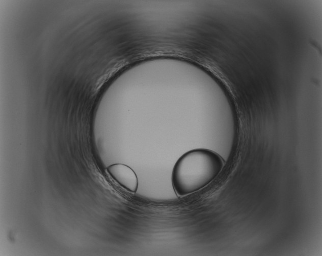 X0000102020585200807180945