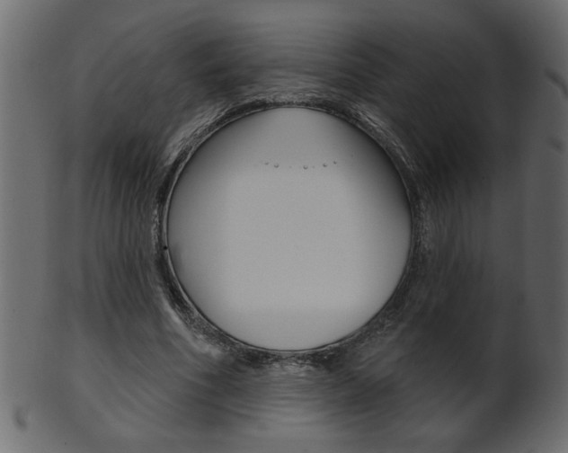 X0000102020586200807180945