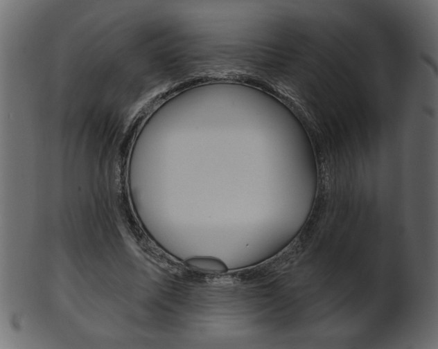 X0000102020587200807180945