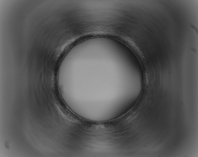 X0000102020588200807180945