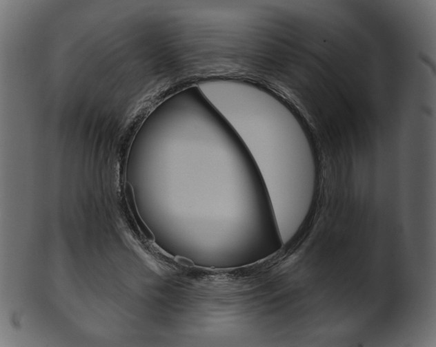 X0000102020589200807180945