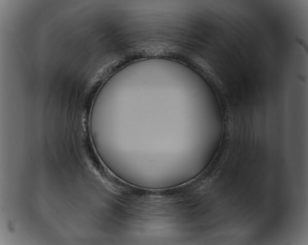 X0000102020590200807180945
