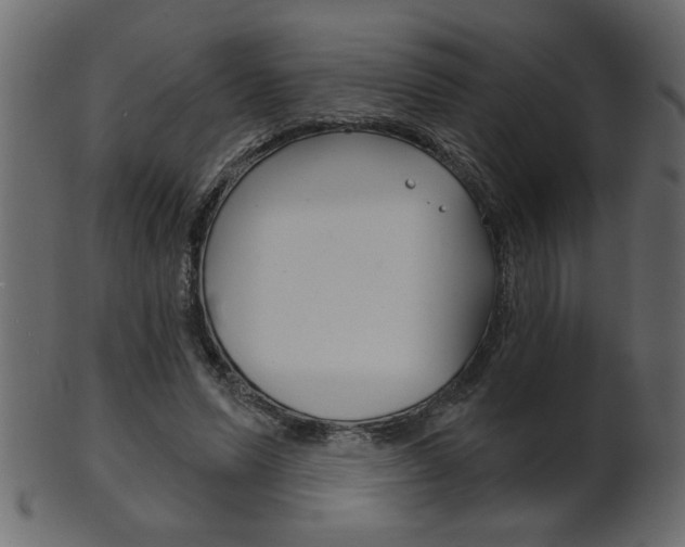 X0000102020591200807180945