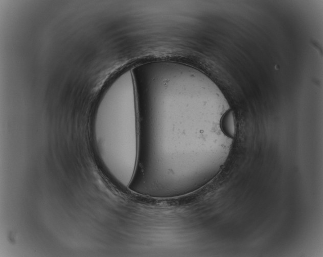 X0000102020592200807180945