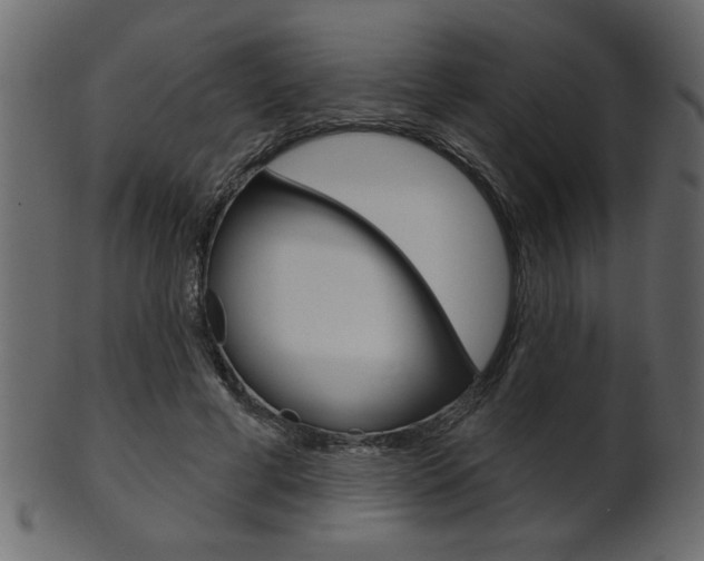 X0000102020593200807180945