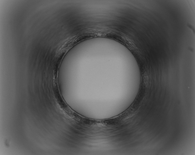 X0000102020594200807180945