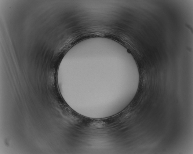 X0000102020595200807180945