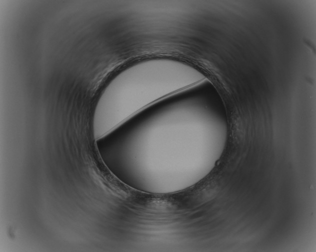 X0000102020596200807180945