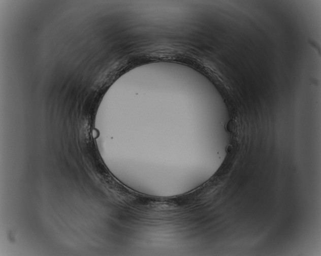 X0000102020597200807180945