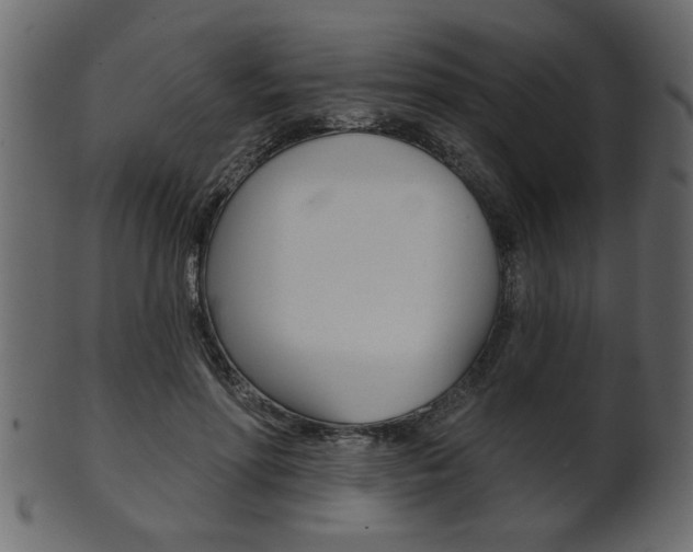X0000102020598200807180945
