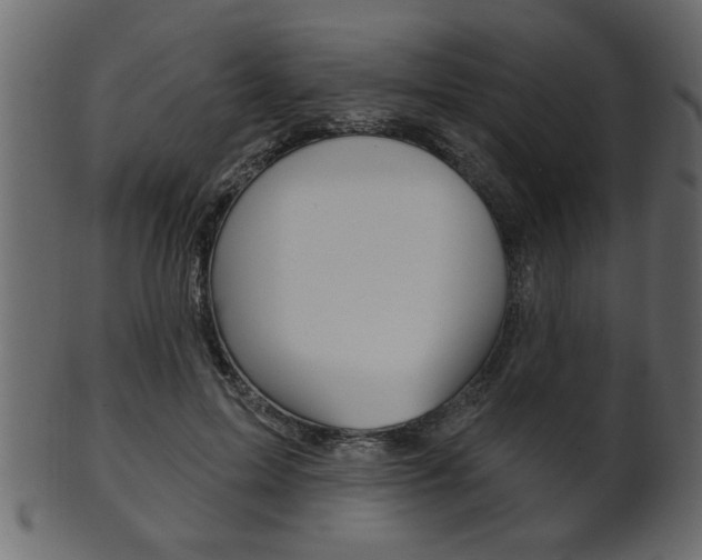 X0000102020599200807180945