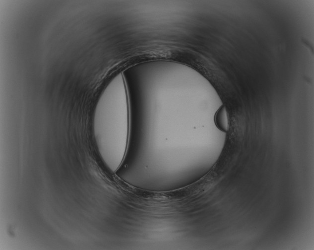 X0000102020600200807180945
