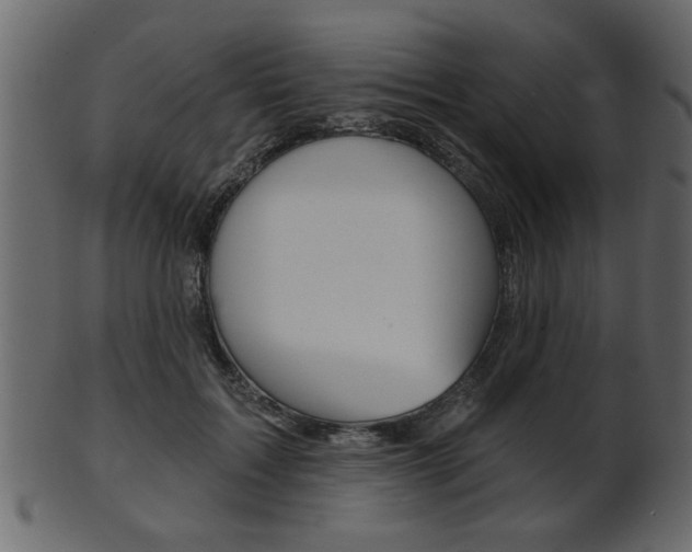 X0000102020603200807180945