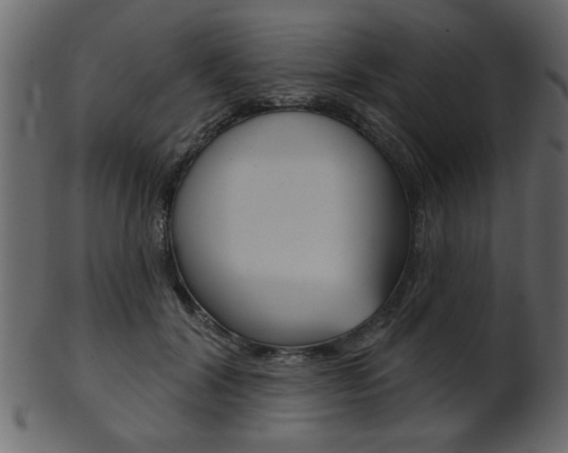X0000102020604200807180945