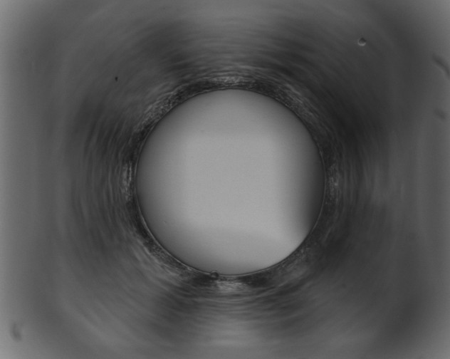 X0000102020605200807180945