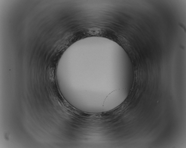 X0000102020606200807180945