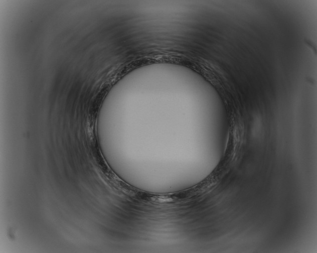 X0000102020607200807180945