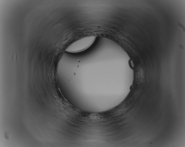 X0000102020608200807180945